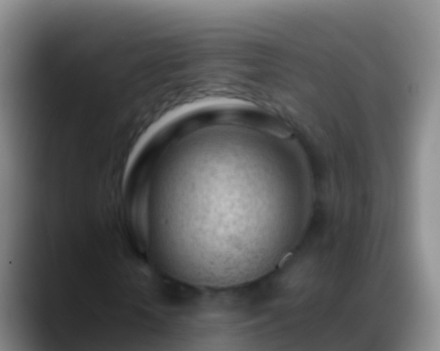 X0000088900818200706151846