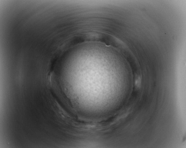 X0000088900819200706151846