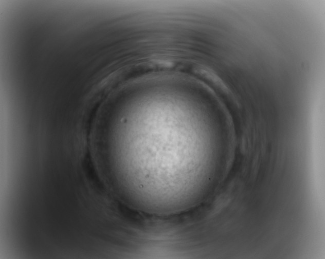 X0000088900821200706151846