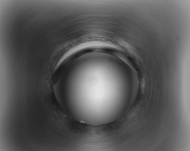 X0000088900822200706151846