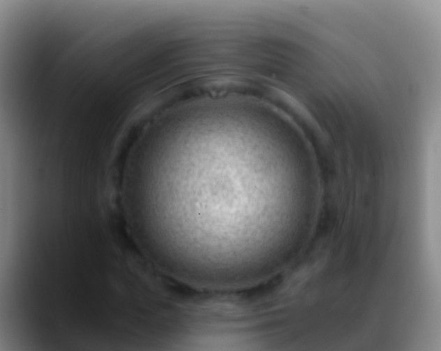X0000088900823200706151846