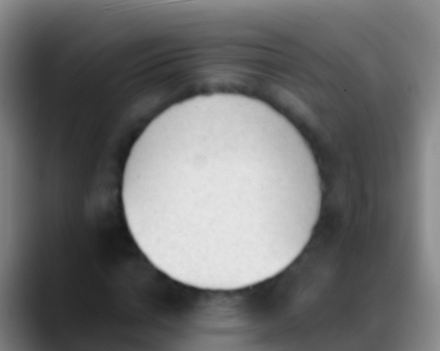 X0000088900824200706151846