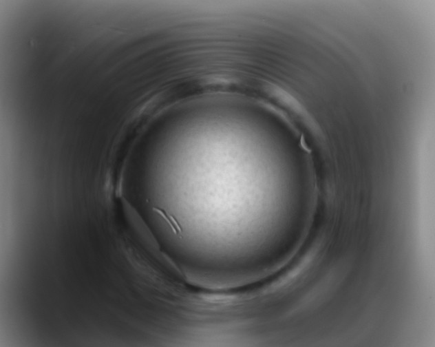X0000088900825200706151846