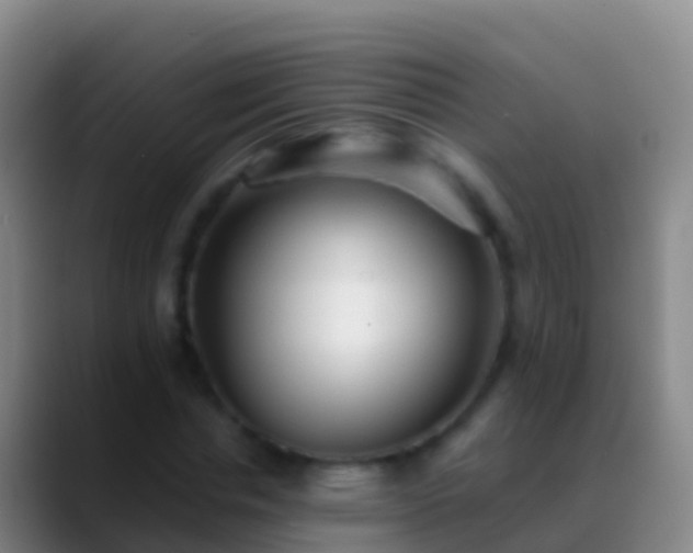 X0000088900826200706151846