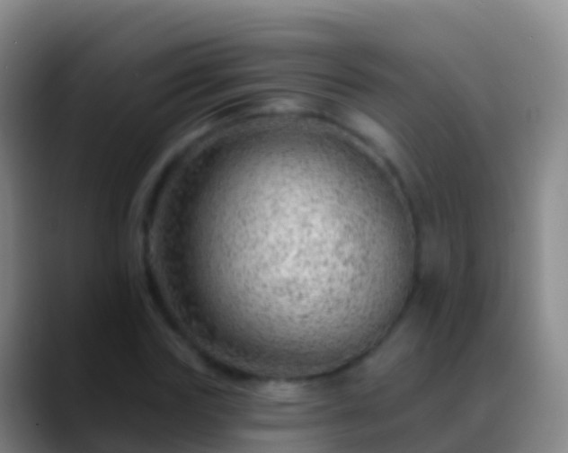 X0000088900827200706151846