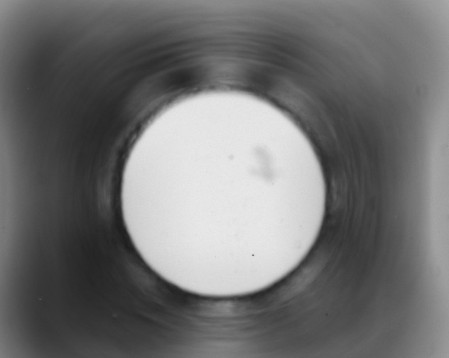X0000088900828200706151846