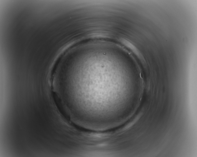 X0000088900829200706151846
