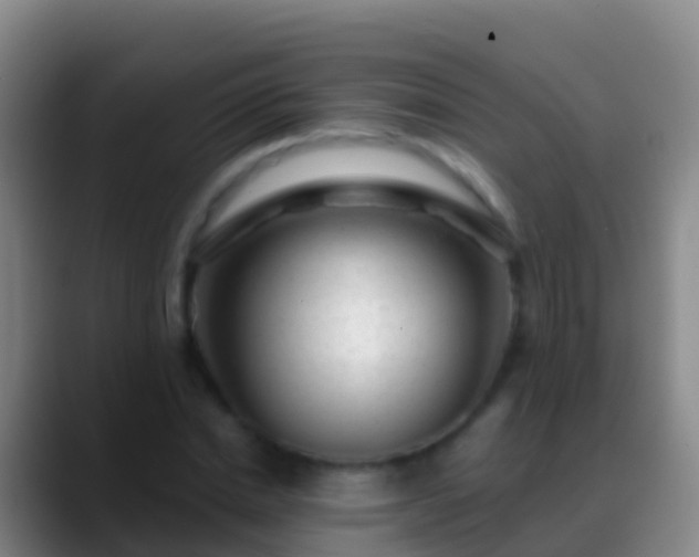 X0000088900830200706151846