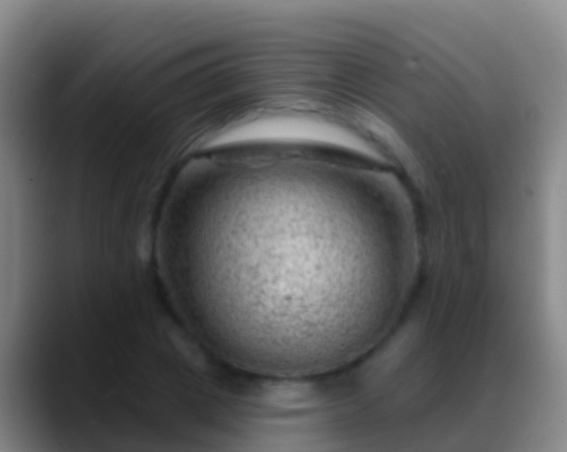 X0000088900833200706151846
