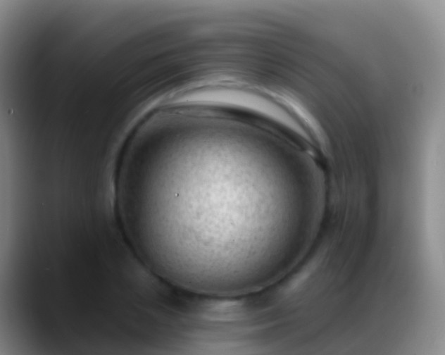 X0000088900837200706151846
