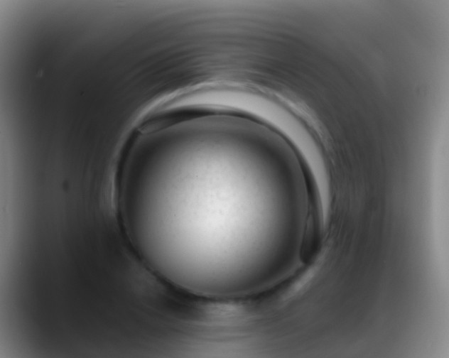 X0000088900838200706151846