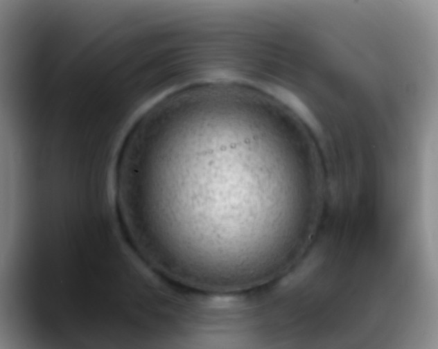 X0000088900839200706151846
