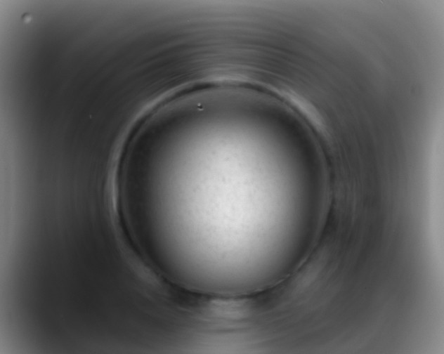 X0000088900840200706151846