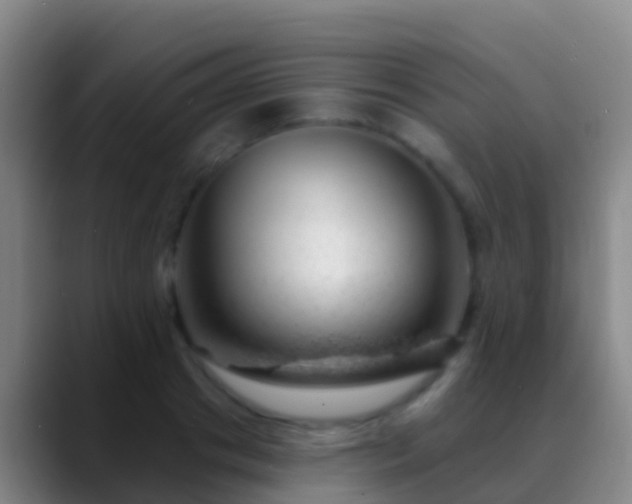 X0000088900841200706151846