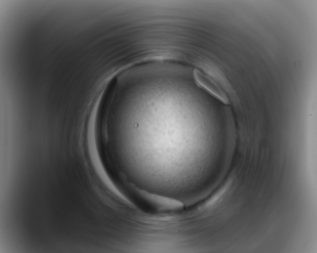 X0000088900842200706151846