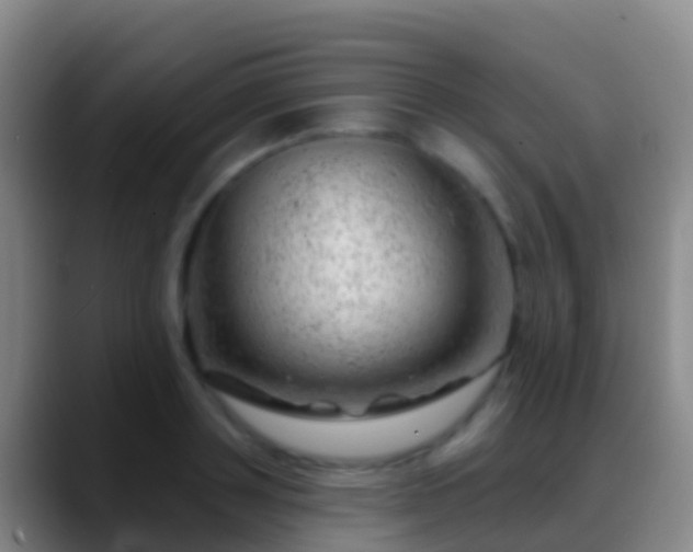 X0000088900843200706151846