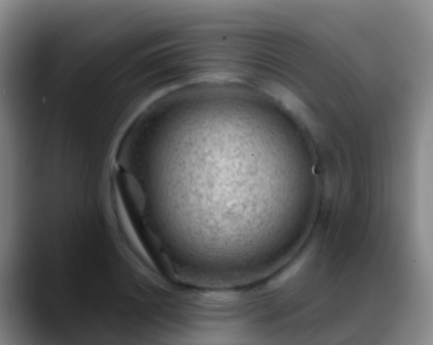 X0000088900844200706151846