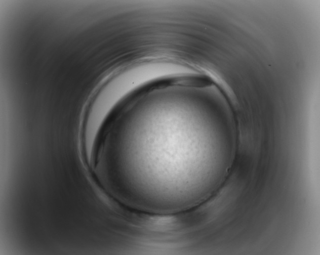 X0000088900845200706151846