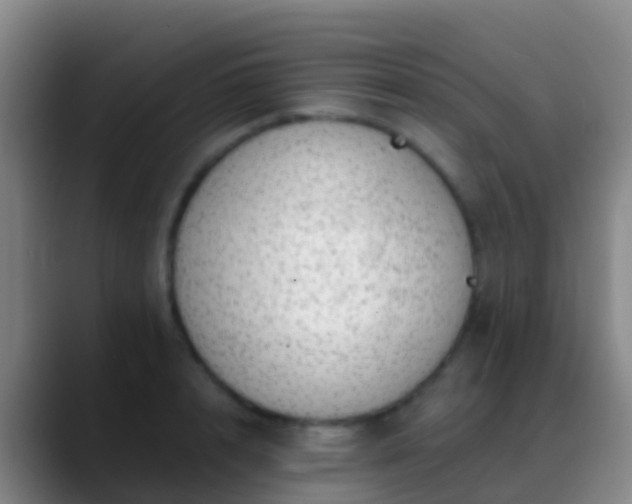X0000088900848200706151846