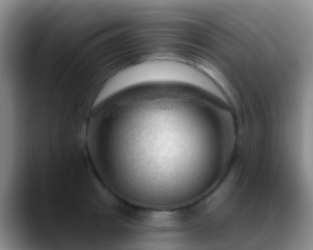 X0000088900849200706151846