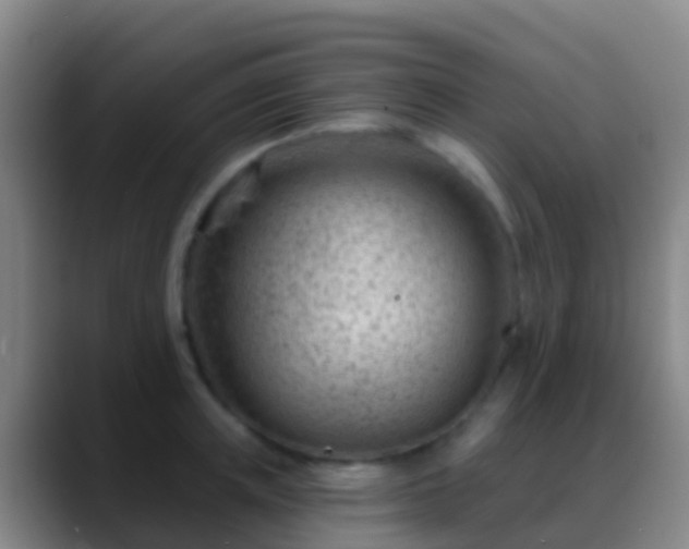 X0000088900851200706151847