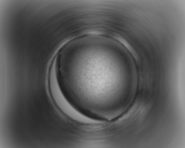 X0000088900853200706151847