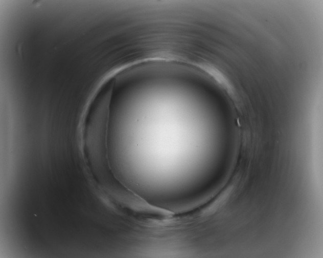 X0000088900854200706151847