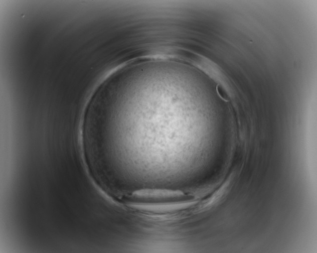 X0000088900855200706151847