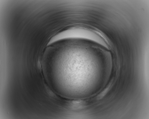 X0000088900857200706151847