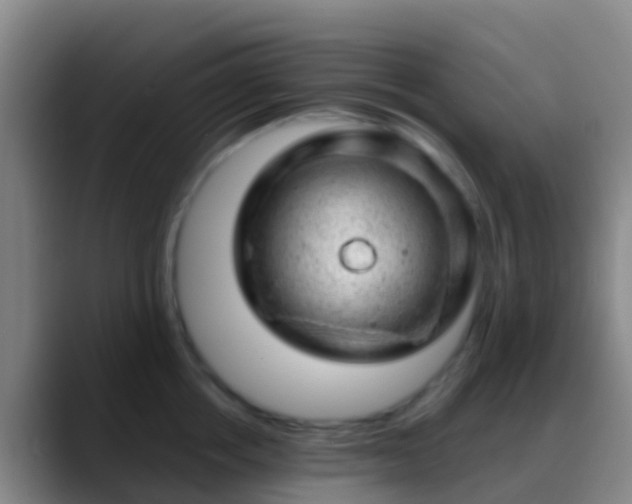 X0000088900858200706151847