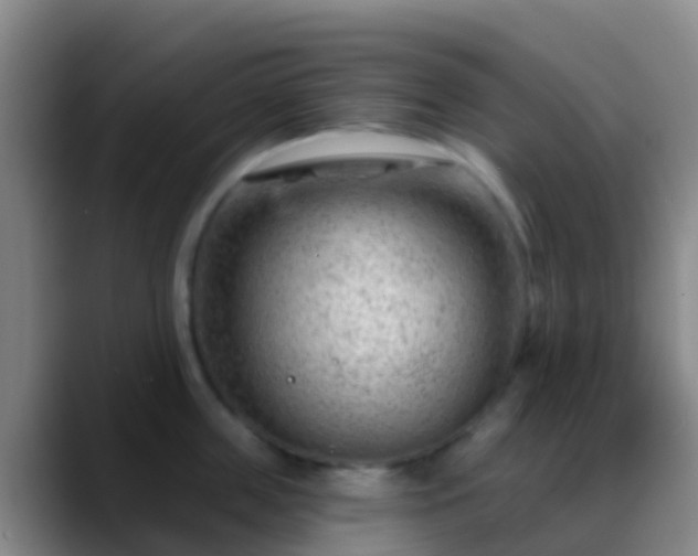 X0000088900859200706151847