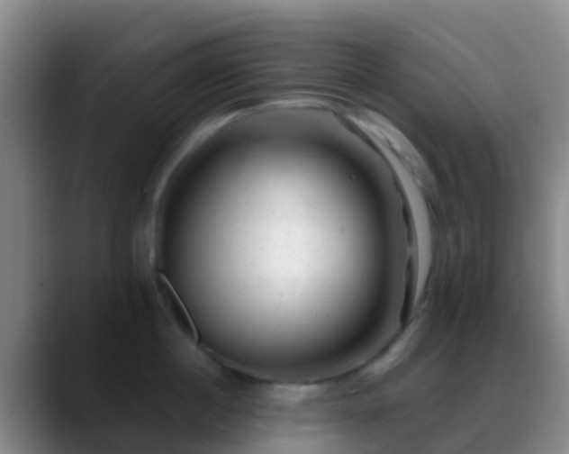 X0000088900860200706151847