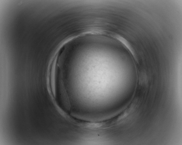 X0000088900861200706151847