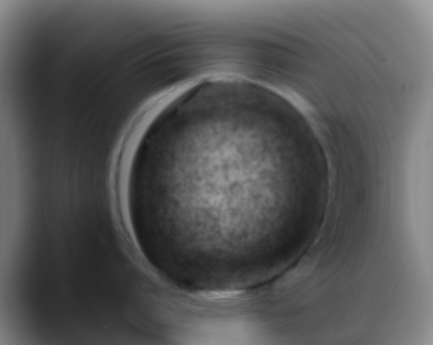 X0000088900864200706151847