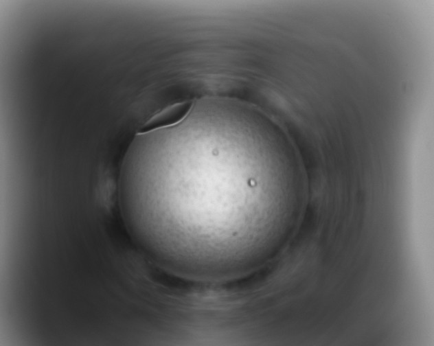 X0000088900866200706151846