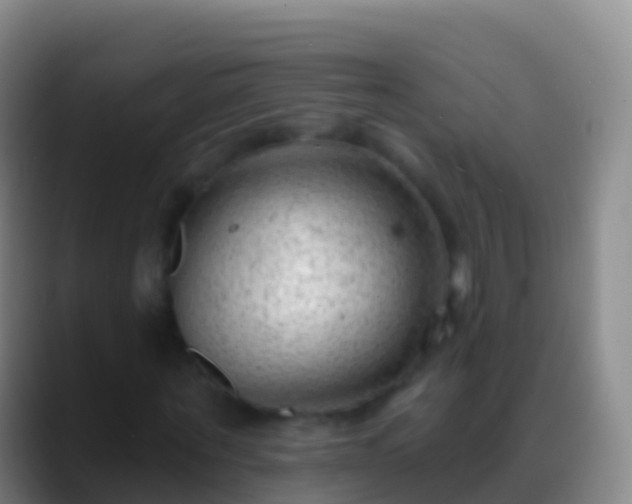 X0000088900867200706151846