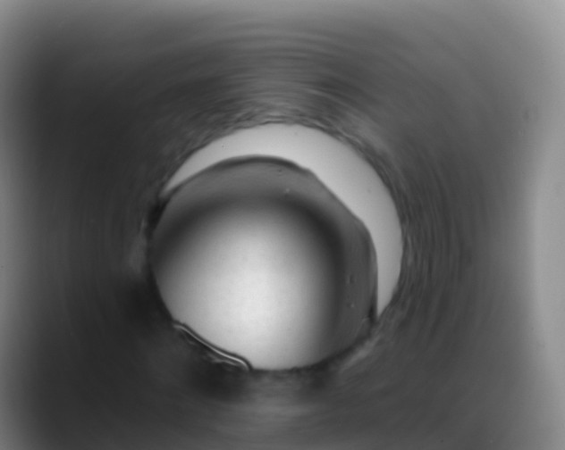 X0000088900868200706151846