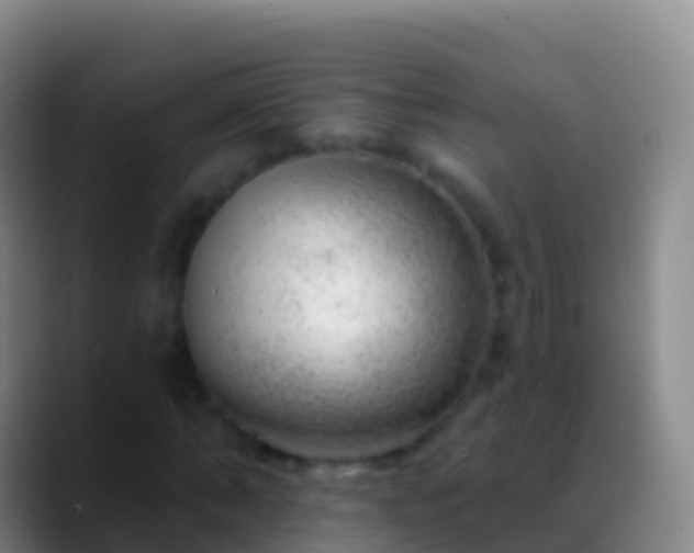 X0000088900870200706151846