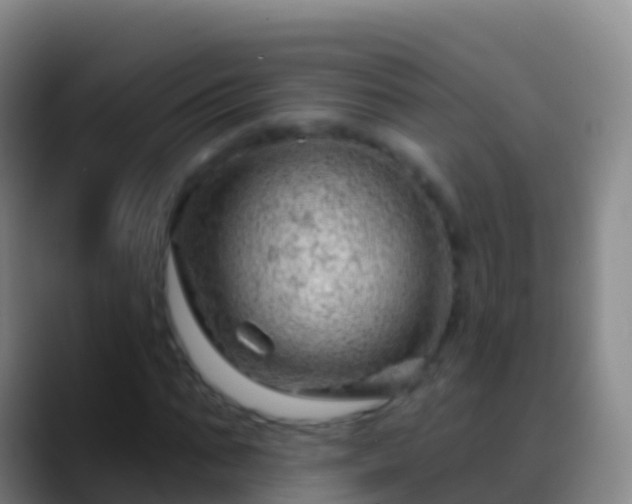 X0000088900871200706151846