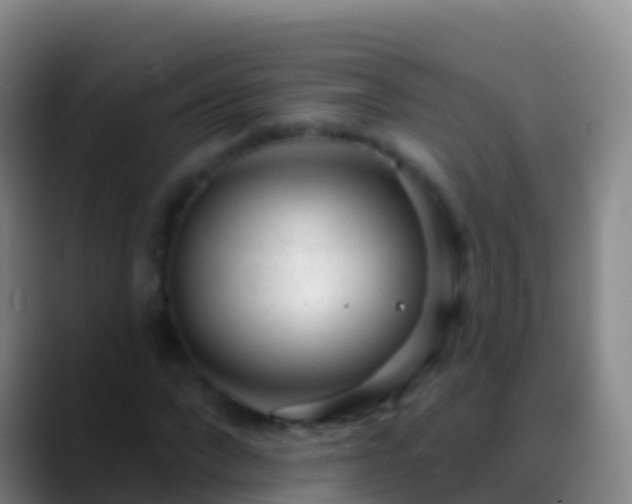 X0000088900872200706151846
