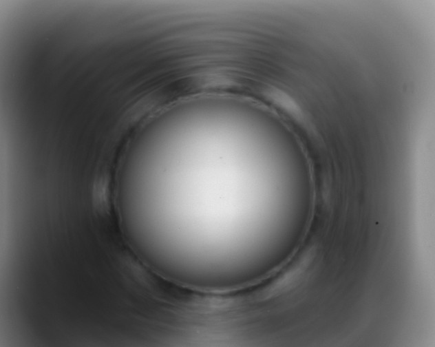 X0000088900873200706151846