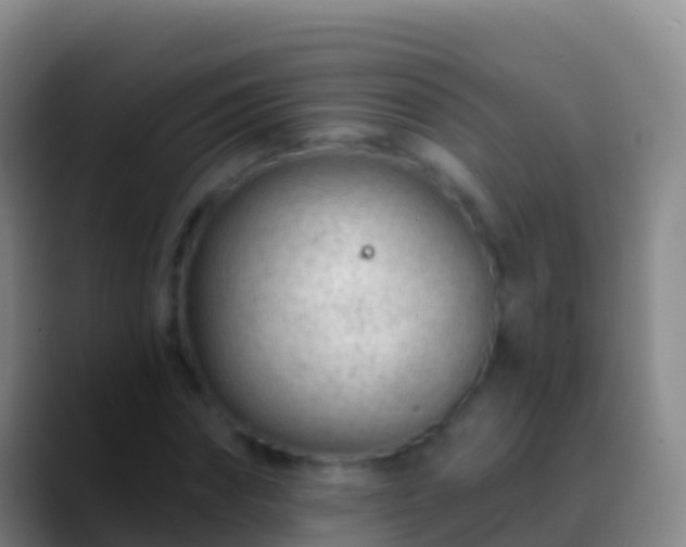 X0000088900874200706151846