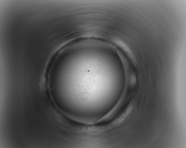 X0000088900876200706151846