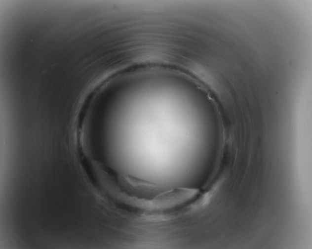X0000088900877200706151846
