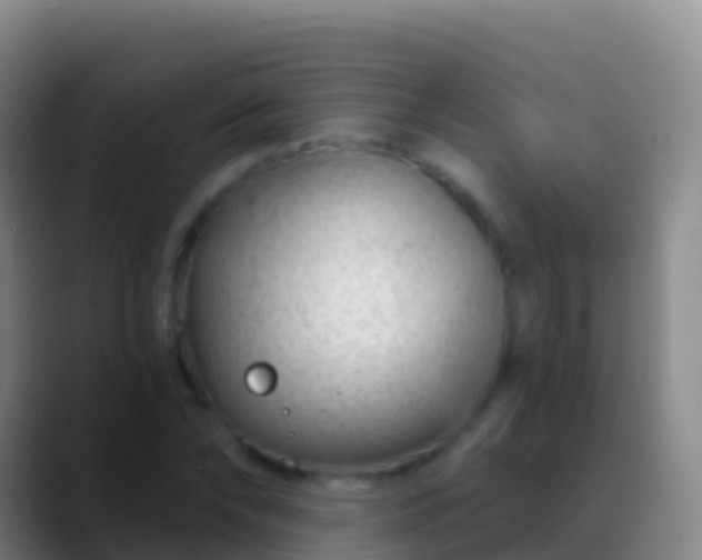 X0000088900878200706151846