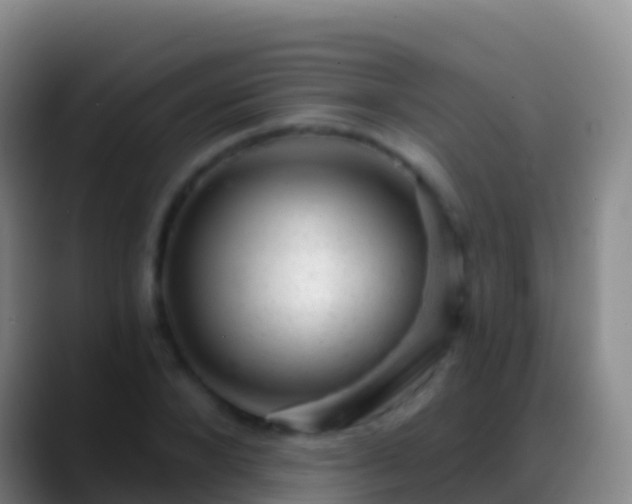 X0000088900880200706151846