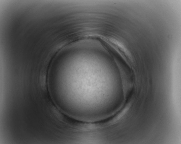 X0000088900881200706151846