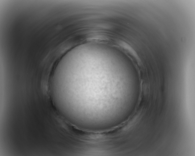 X0000088900882200706151846