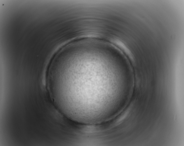 X0000088900883200706151846
