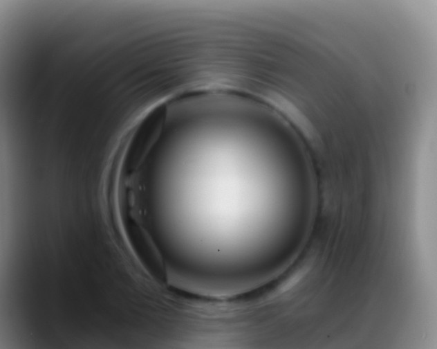 X0000088900885200706151846